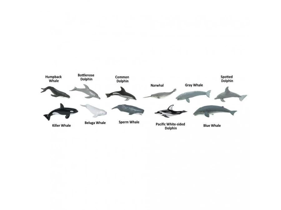 Utukutu Safari Ltd. Tuba - Whales And Dolphins | Toys