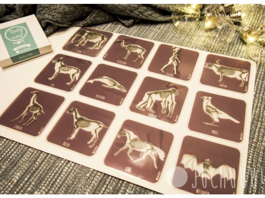 Utukutu Glowing Set Animal Skeletons | Light Panel And Accessories