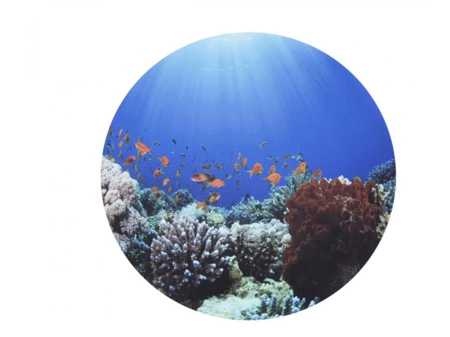 Utukutu Play Mat Under The Sea | Light Panel And Accessories