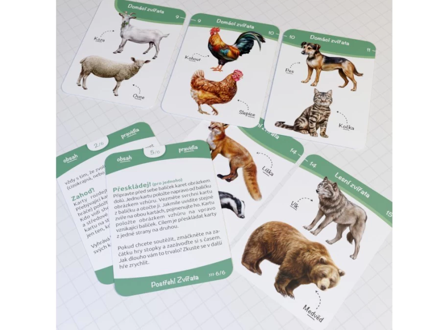 Utukutu Observation! Animals | Toys