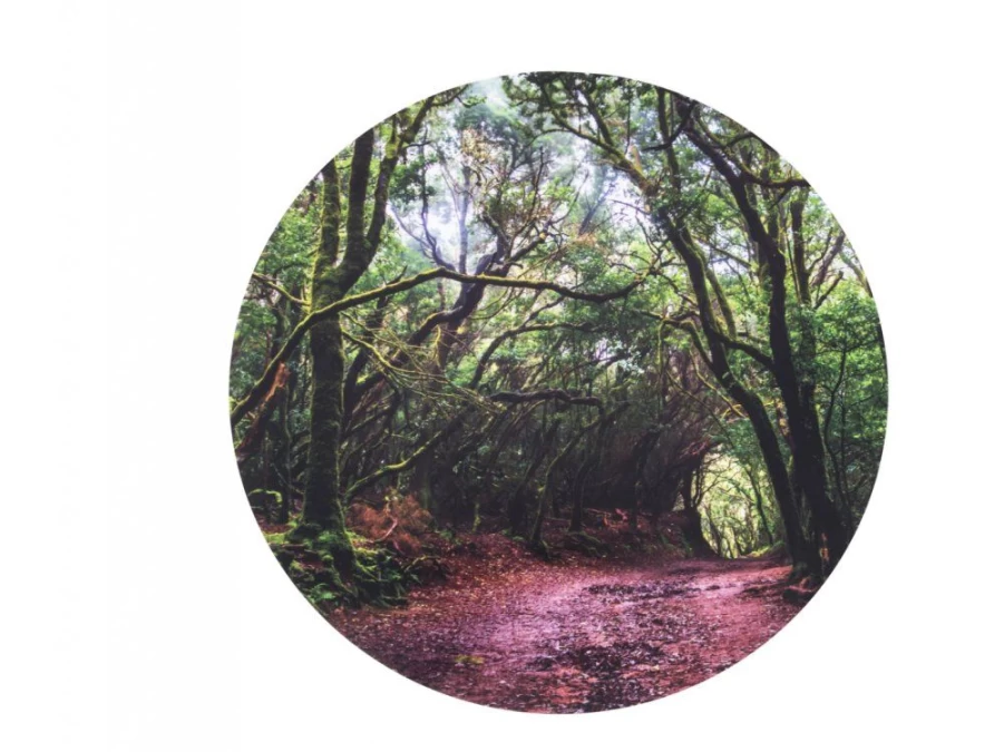 Utukutu Play Mat - Forest | Light Panel And Accessories